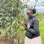 Ouganda : Muhoozi Kainerugaba annonce un fonds de 1 milliard (ush) pour financer l’entrepreneuriat